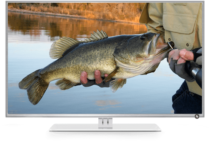 A Fisherman's Channel - Clearwater Bass With Shaw Grigsby (829x560), Png Download