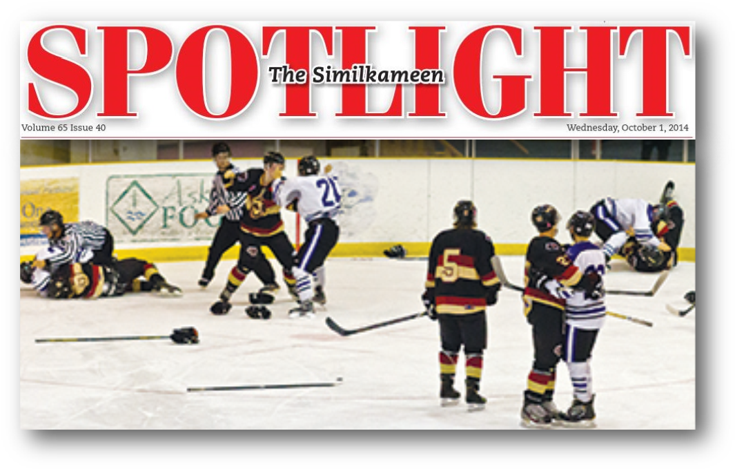 Spotlight Staff - College Ice Hockey (1075x689), Png Download