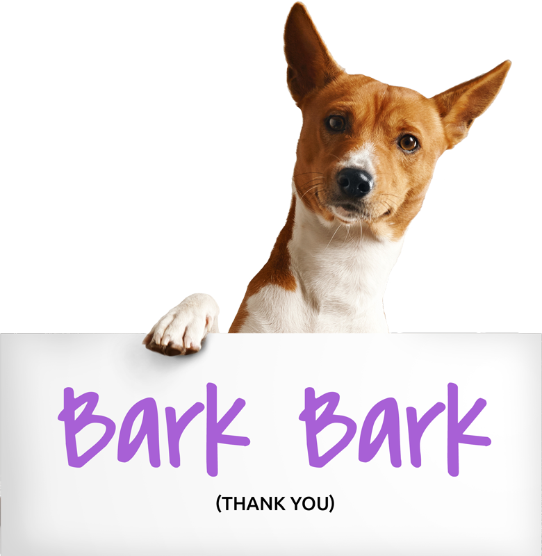 Thank You For Reaching Out To Us - Bar (780x800), Png Download