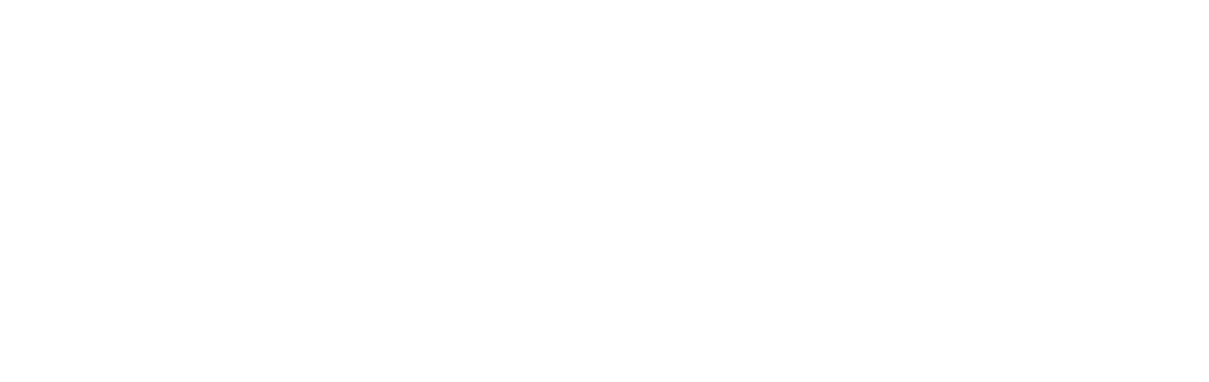 Flare Affair - Wordpress Logo White Png (4309x1433), Png Download