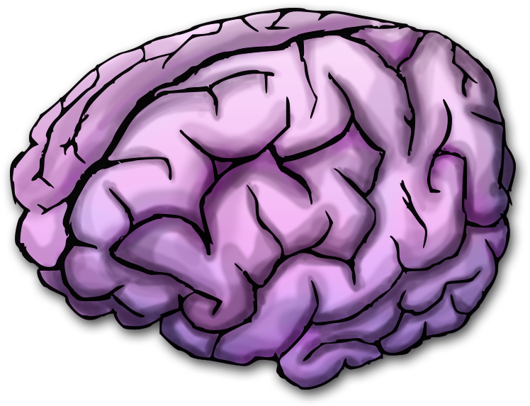 Vector Freeuse Stock Purple Transparent Brain - Purple Brain (785x594), Png Download