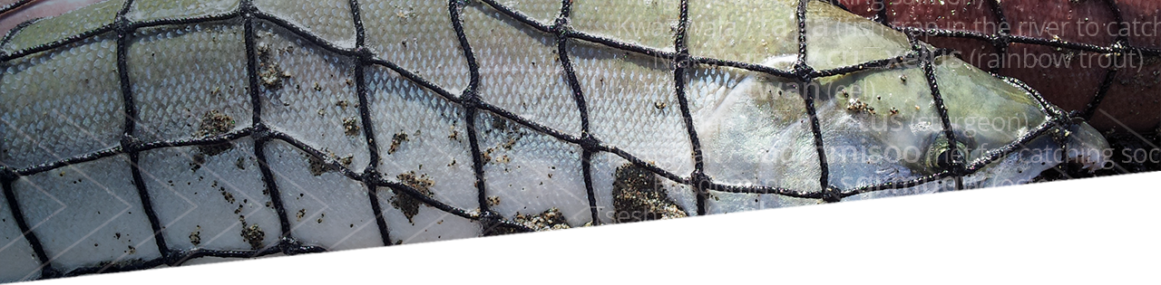 Chain-link Fencing (1280x315), Png Download