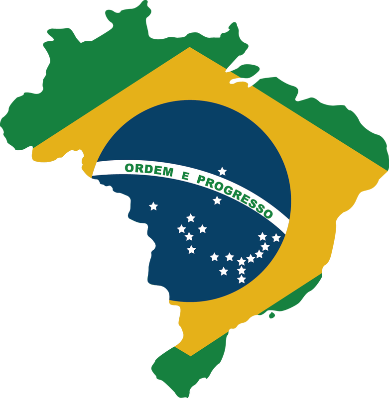 Brazil Flag (781x800), Png Download