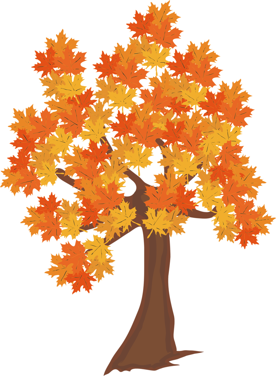 Fall Leaves Falling From A Tree Png Real Trees - Clipart Autumn Tree (942x1280), Png Download
