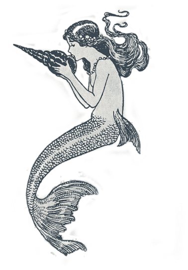 Drawing Mermaid Free Download On Unixtitan Png Getdrawings - 3drose Lsp 151852 2 Mermaids Double Toggle Switch (600x617), Png Download