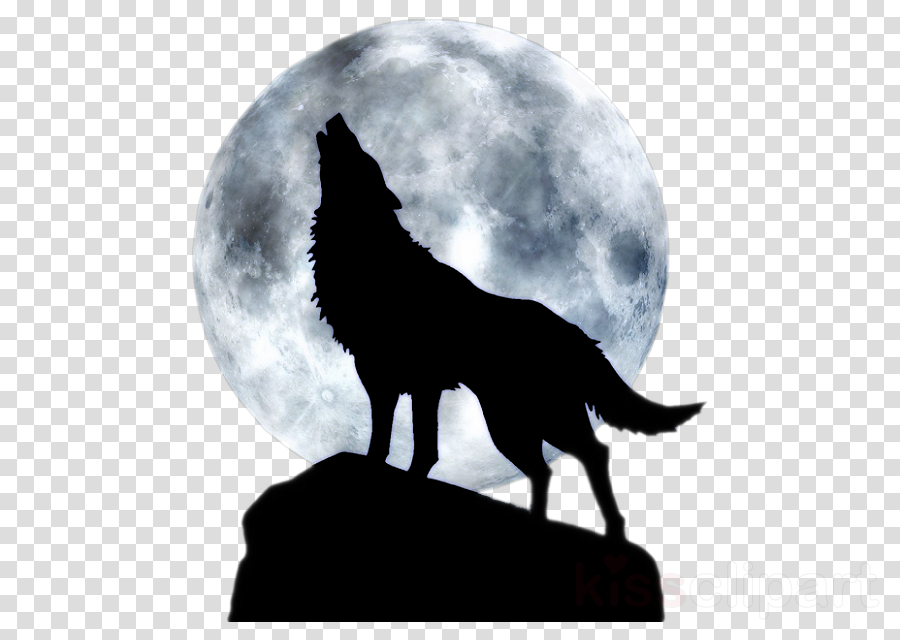 Download Moon Wolf Png Clipart Full Moon Clip Art Moon - Wolf Profile (900x640), Png Download