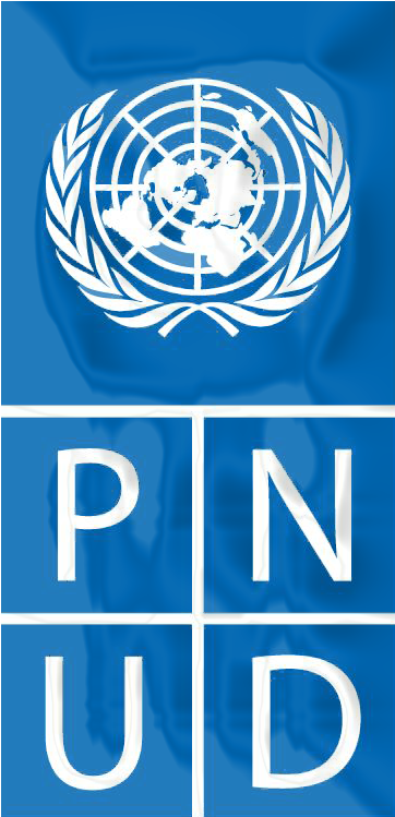 Accesorios Amigos De Zidane Y Ronaldo - Tell Me About The United Nations (461x1088), Png Download