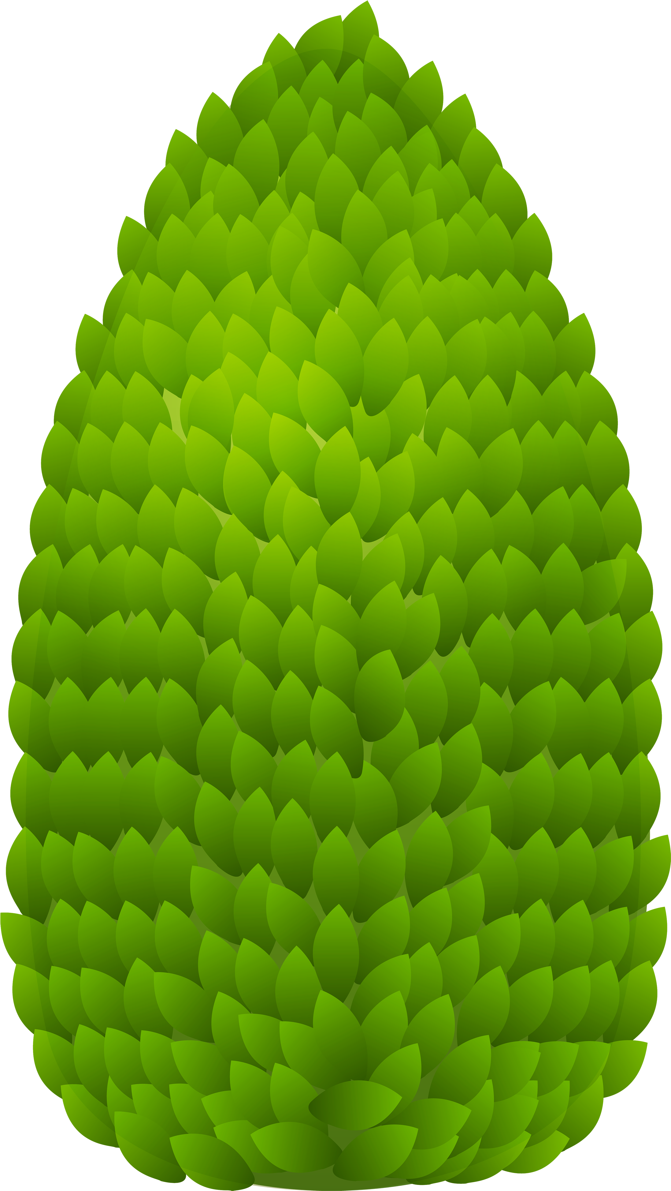 Outdoor Plant Png Clipart - Outdoor Plant Clipart Png (2255x4000), Png Download