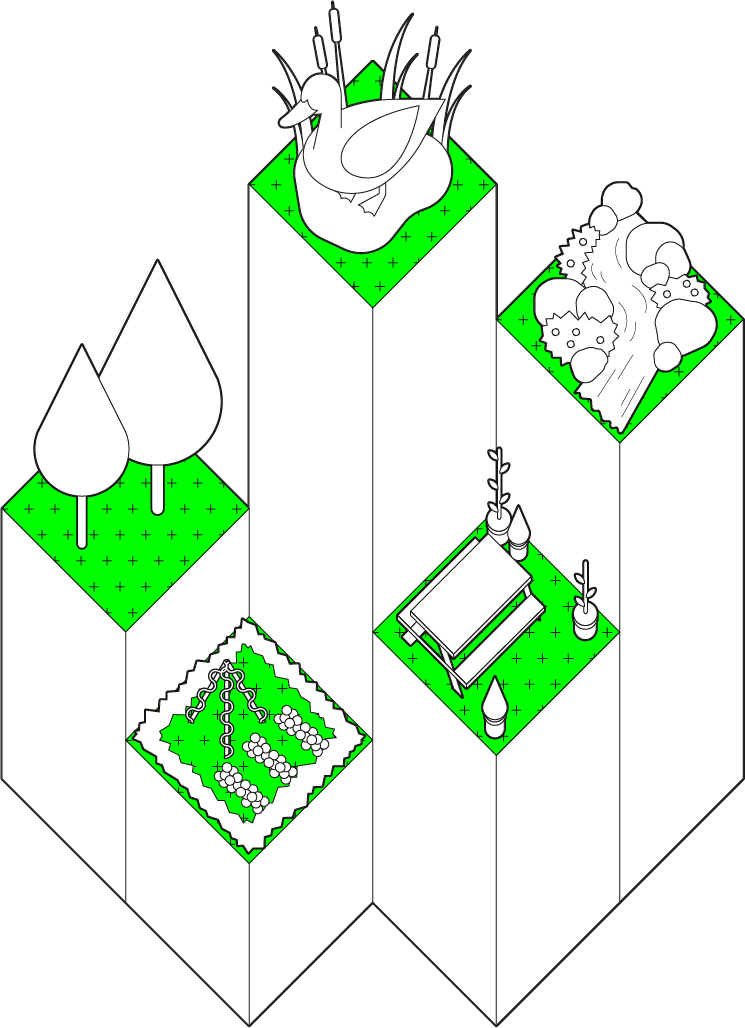 Pl Planteverything Illo 01 01 - .pl (745x1028), Png Download