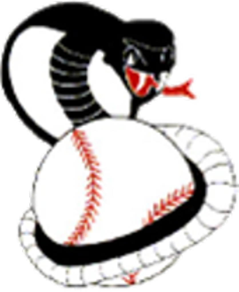 Columbus Cobras Baseball - Columbus Cobras (836x1024), Png Download