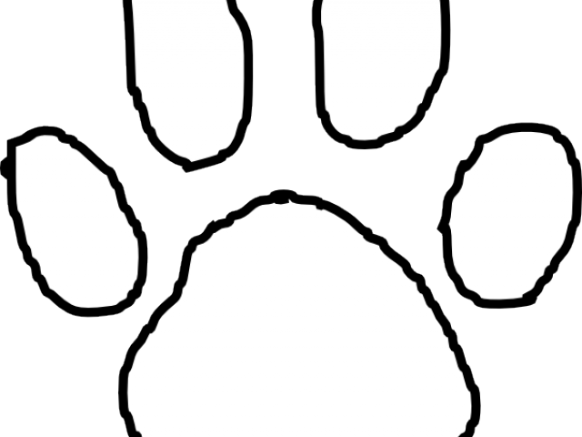 Scratches Clipart Tiger Paw - Tiger (640x480), Png Download