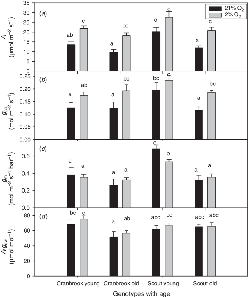 Effects Of Oxygen Concentration And Leaf Age On Light-saturated - Stomatal Conductance (850x1018), Png Download