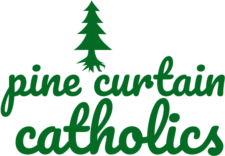 Pine Curtain -logo - Sunshine Soul Pillow Case (1000x848), Png Download