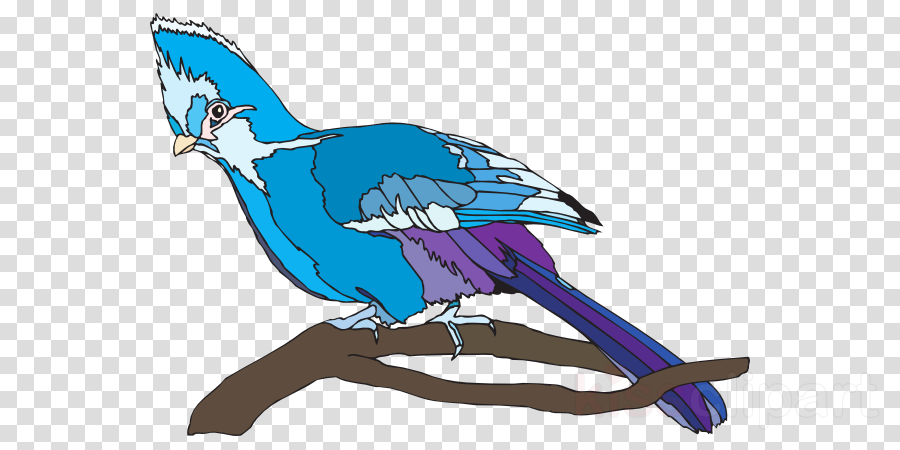 Wrong Clipart Royalty-free Clip Art - Clip Art (900x450), Png Download