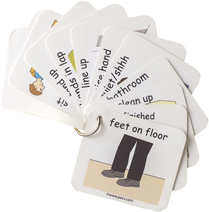 Show And Go - Educational Consultant (800x800), Png Download