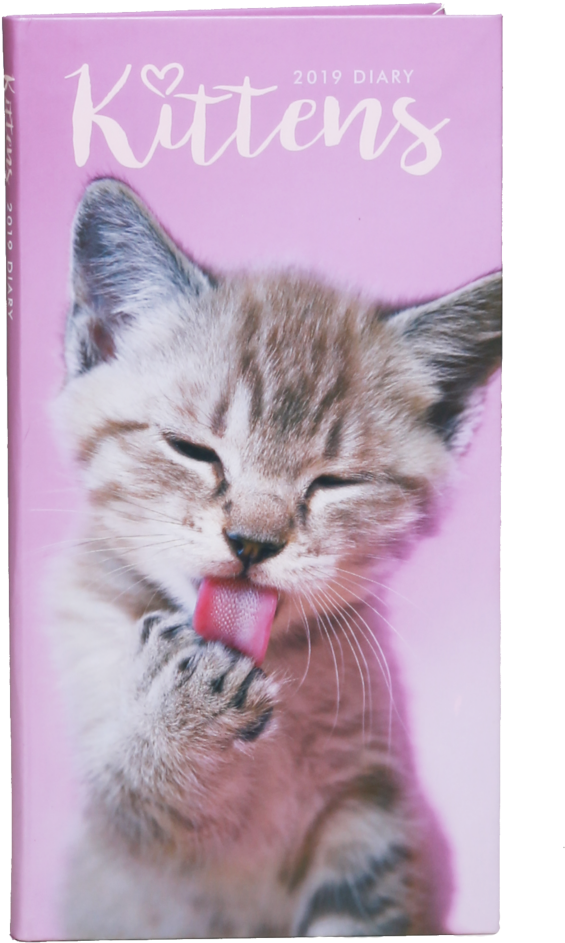 Kittens Teach Us 2018 Wall Calendar (1024x1024), Png Download