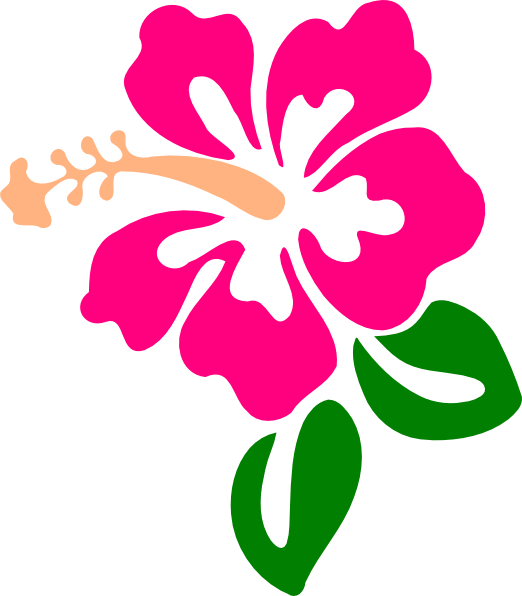 Hibiscus 9 Svg Clip Arts 522 X 596 Px (522x596), Png Download
