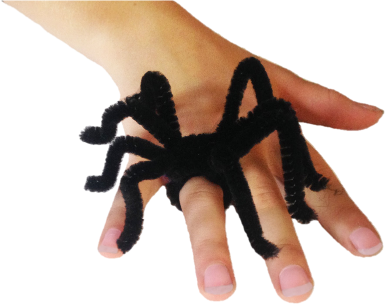 Bend It They Way You'd Like Your Spiders To Look Like - Halloween Crafts With Pipe Cleaners (1176x720), Png Download