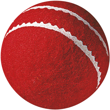 Gunn & Moore First Ball - Gunn &amp; Moore First Cricket Ball (595x587), Png Download