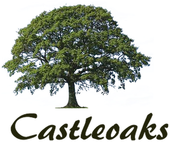 Castle Oaks, Dublin Road, Carlow Town, Co (700x651), Png Download