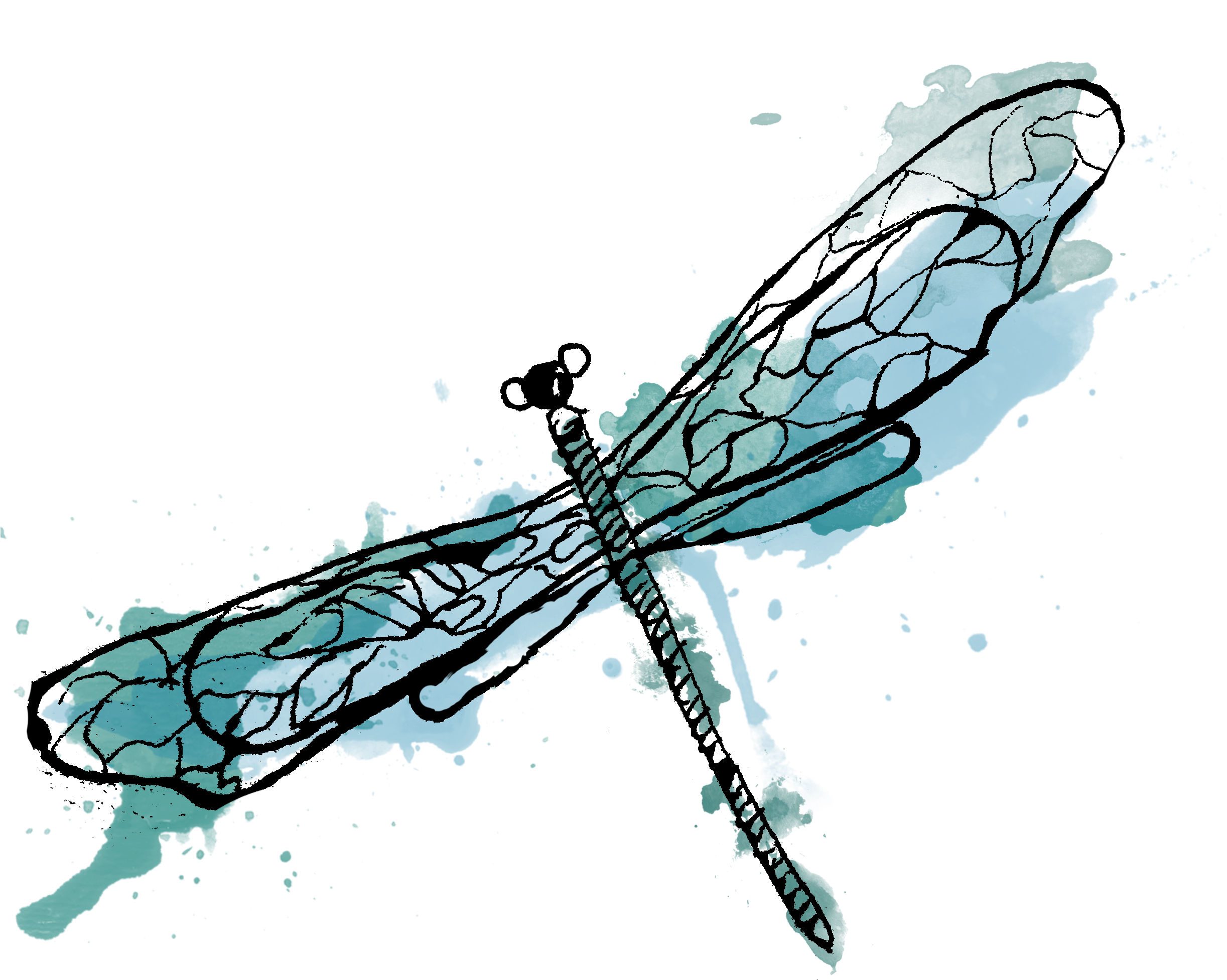 Com Static 580c346b2e69cf2049e88308 T 58d96f891e5b6c510e99b25a - Dragonfly (2448x2176), Png Download