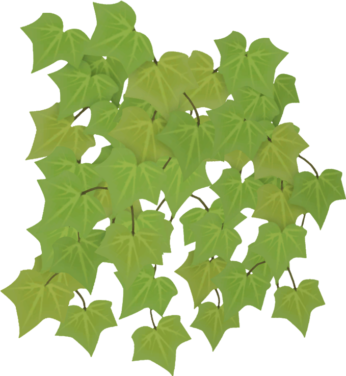 Ivy - Maple Leaf (768x768), Png Download