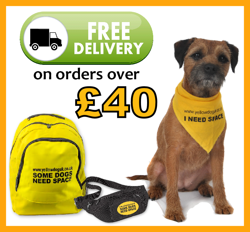 Newsletter - Subscribe - Yellow Dog I Need Space (860x799), Png Download