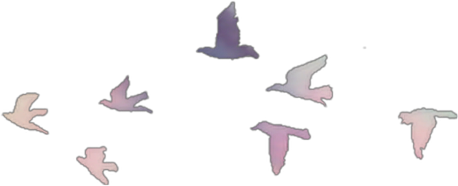 Ftestickers Birds Flock Colorful Pink Purple - Easy Black Bird Drawing (1024x1024), Png Download