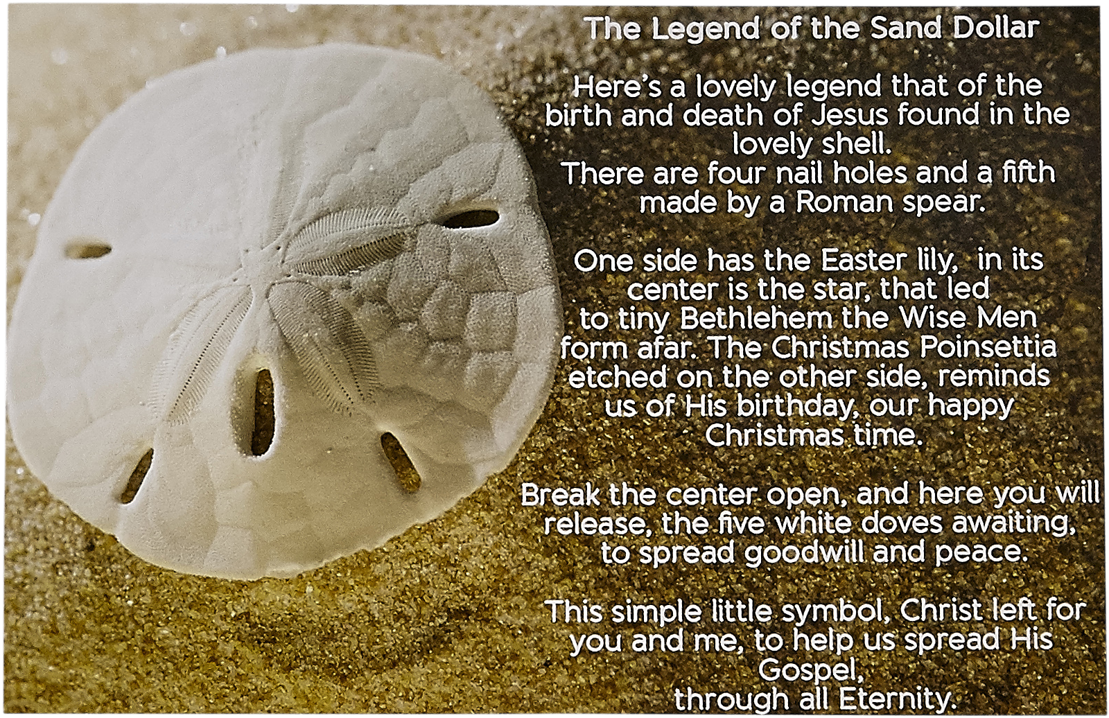 Sand Dollar Happy Birthday (1943x1352), Png Download