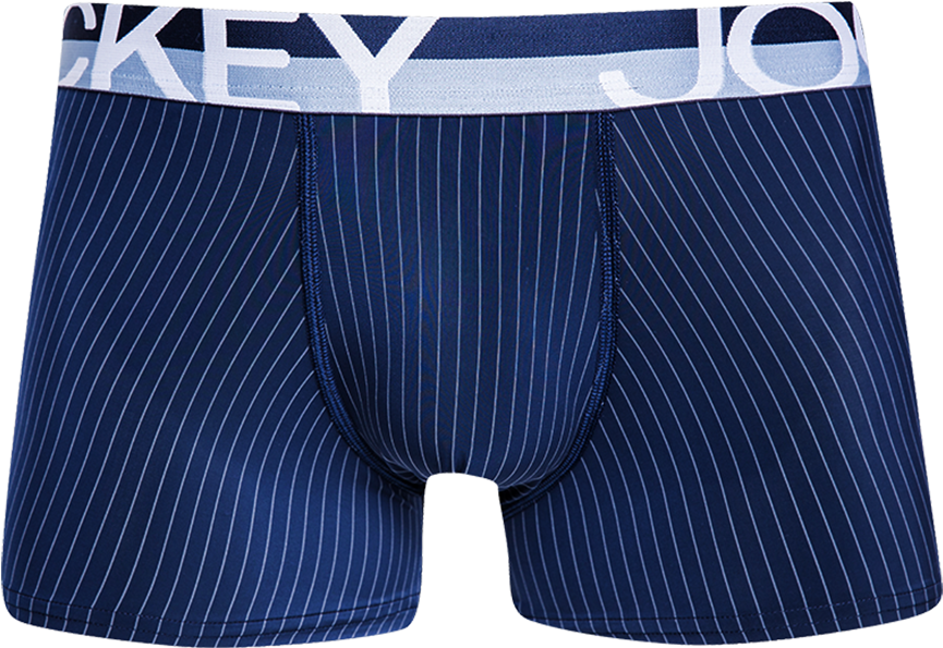 Single Pinstripe Trunk - Underpants (1000x1000), Png Download