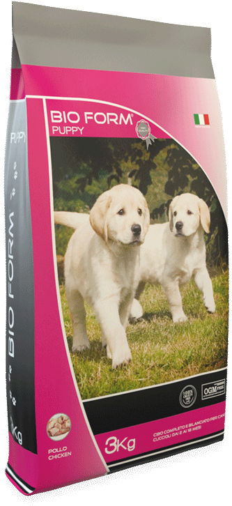 Bioform Puppy - Dog (800x800), Png Download