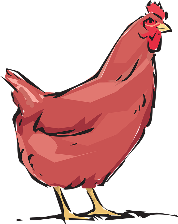 Chicken Cliparts Black 23, Buy Clip Art - Hen Clipart (572x720), Png Download