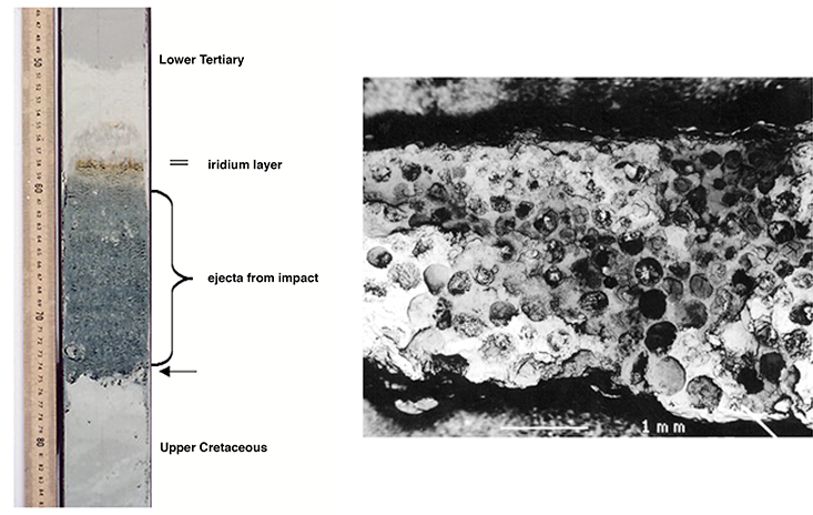 Carrol Br8 - Kt Boundary Cross Section (733x464), Png Download