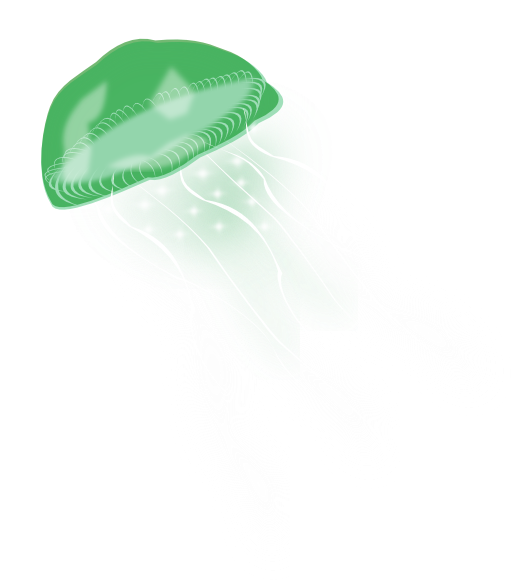 Jellyfish Png (522x596), Png Download