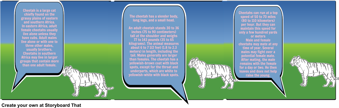 Choose How To Print This Storyboard - Siberian Tiger (1164x385), Png Download