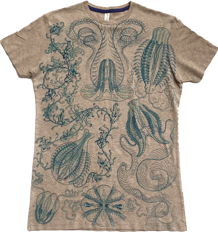 Jellyfish - Asheville Apparel - Ctenophorae Nature By Ernst Haeckel Art Print 24 X (759x834), Png Download