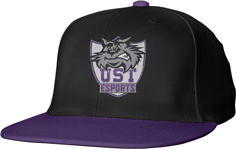 Ust Esports Snapback - Baseball Cap (1000x1000), Png Download