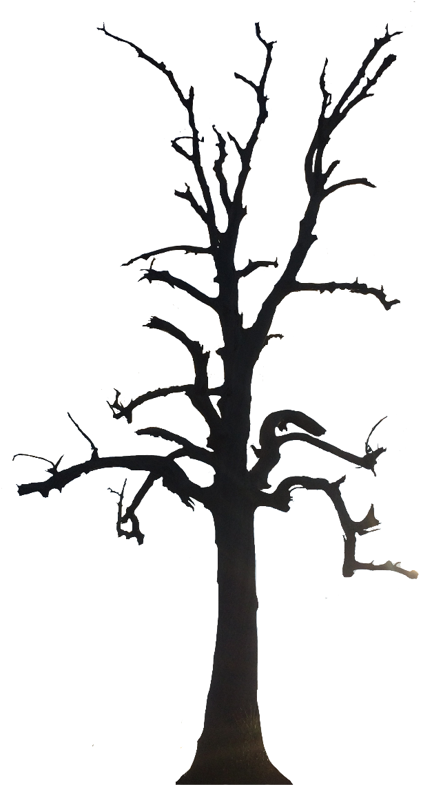 Tree Sticker - Silhouette (1024x1365), Png Download