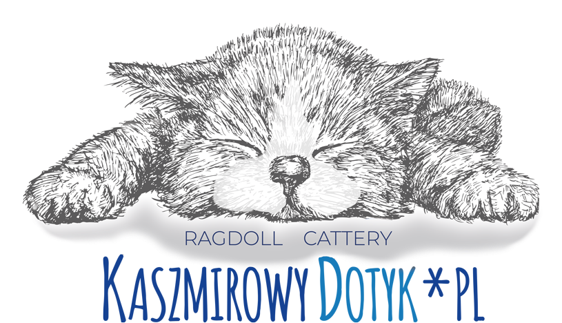 Nellie Snellen Kitten (1000x672), Png Download