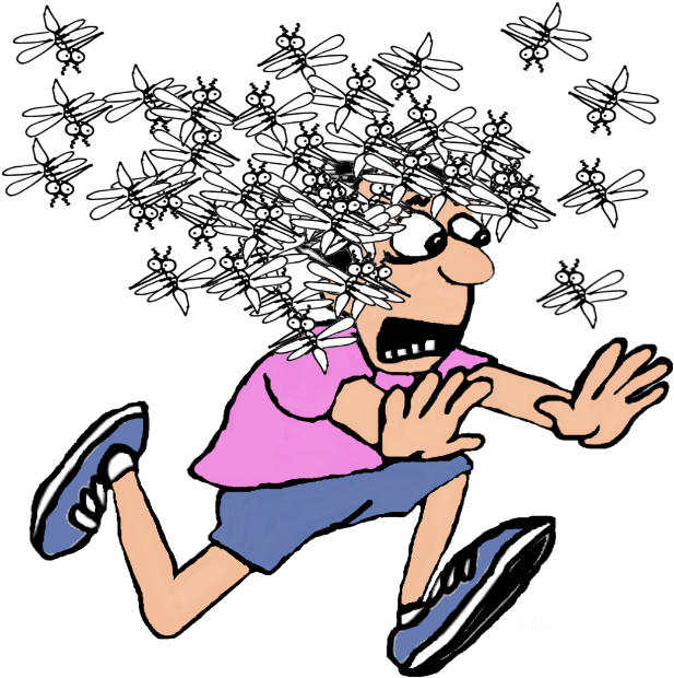 Mosquito Attack (640x640), Png Download