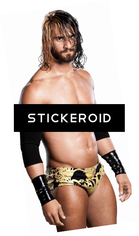 Seth Rollins Wwe - Wrestler (451x764), Png Download