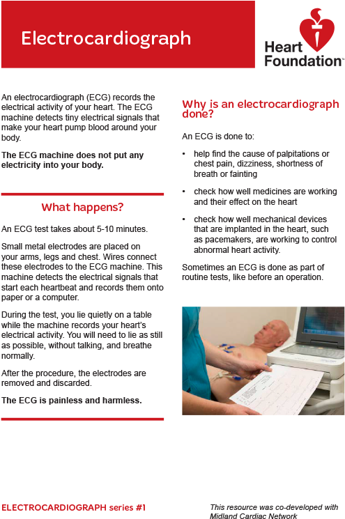 Brochure (750x750), Png Download