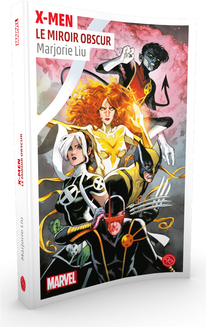 X-men, Le Miroir Obscur - Spider-man, Le Roman - Hardcover (800x1342), Png Download