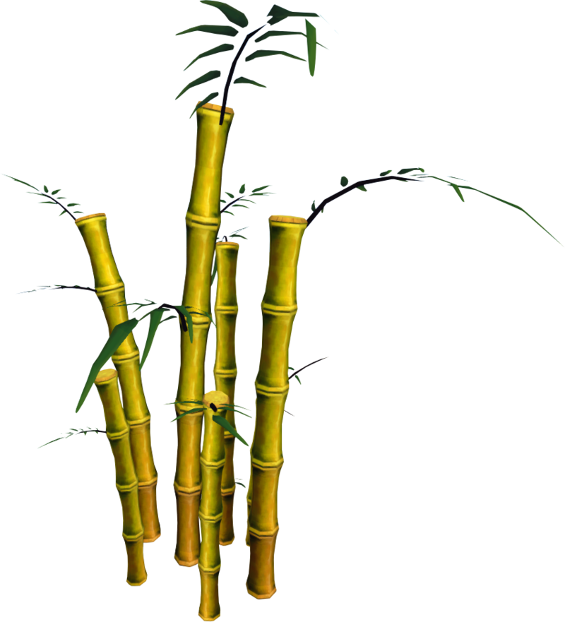 Bamboo Png, Download Png Image With Transparent Background, - Bamboo (800x881), Png Download