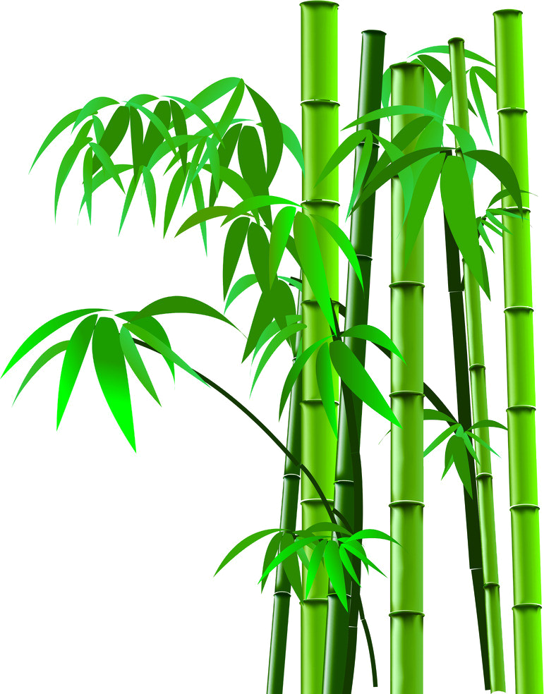 Bamboo Png - Flee Decorative Bamboo Trivets Mat For Hot Dishes Pot (771x984), Png Download