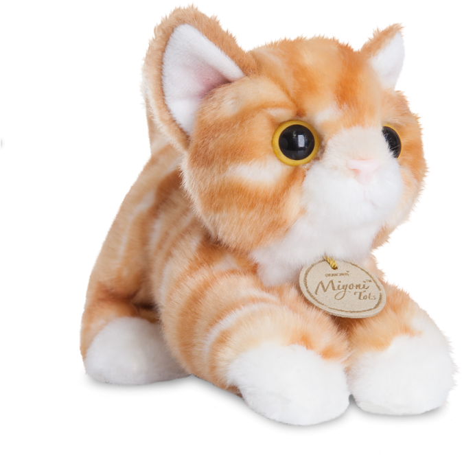 Cats - Aurora World Miyoni Tots Tabby Cat Plush Toy (orange) (800x800), Png Download