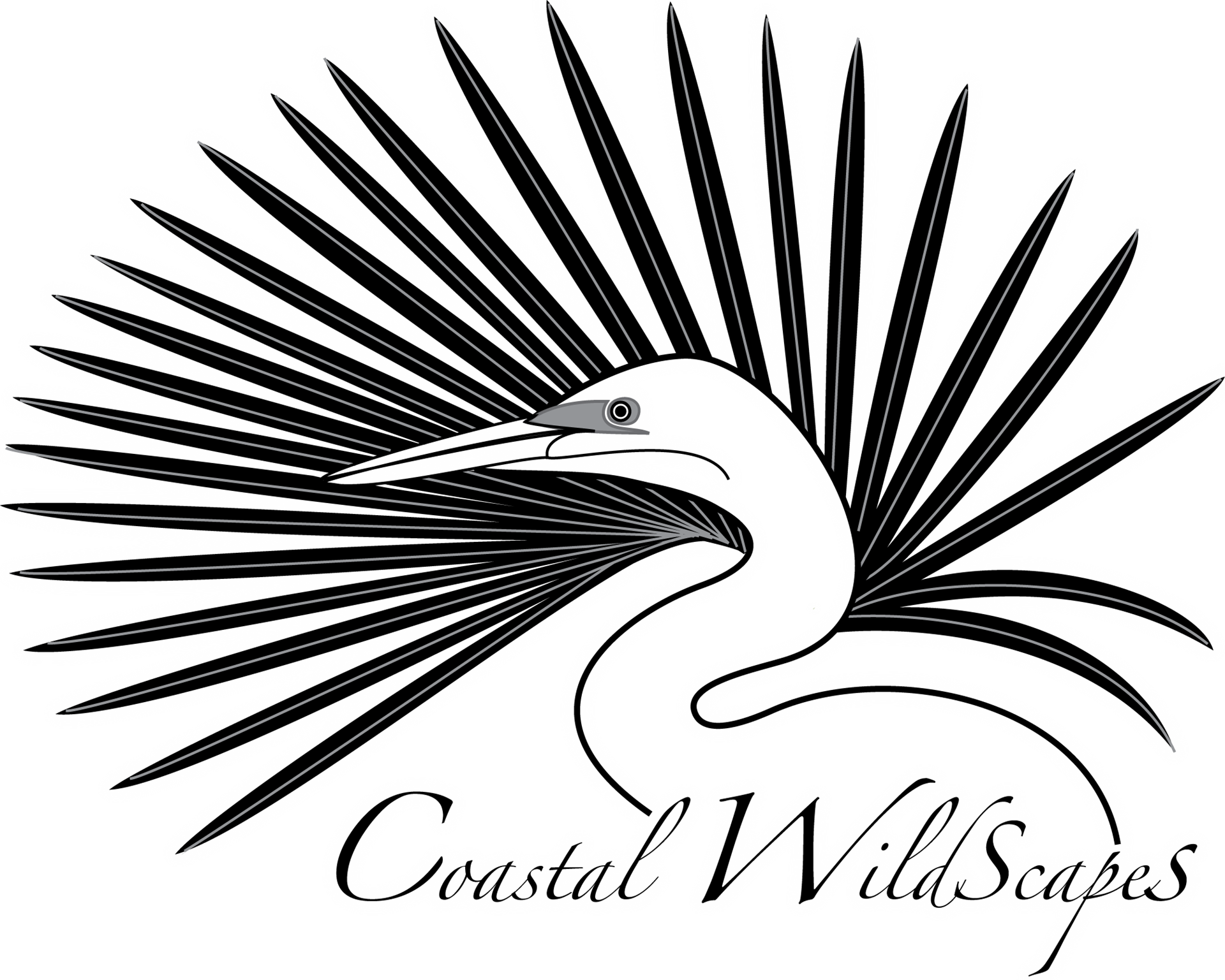 Banner Download Coastal Wildscapes Home - Coastal Wildscapes (1920x1537), Png Download