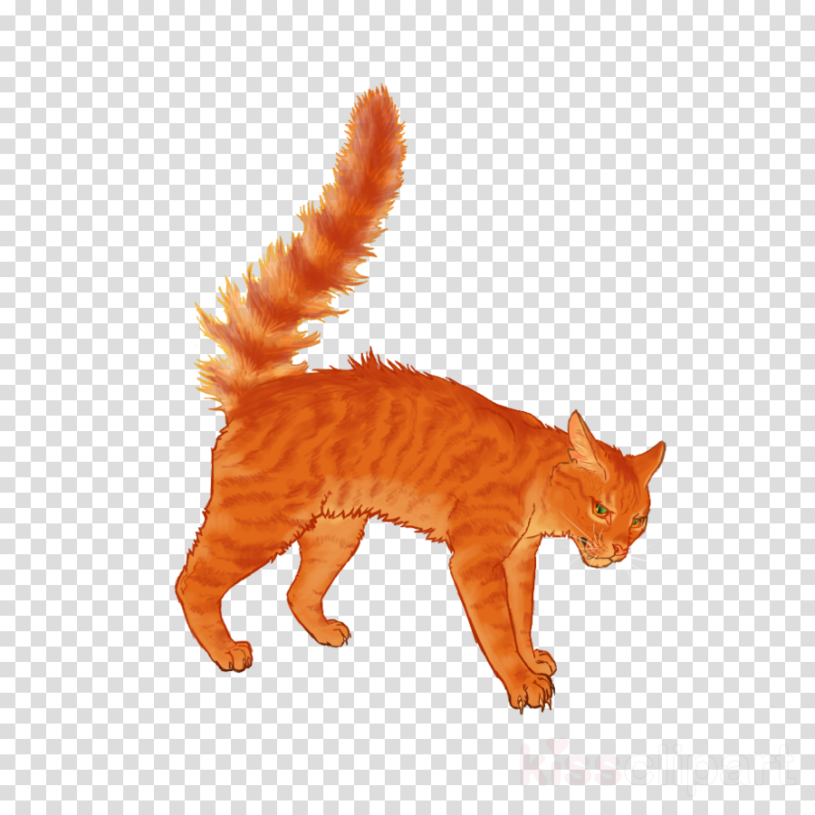 Download Headphones Transparent Background Clipart - Cat (900x900), Png Download