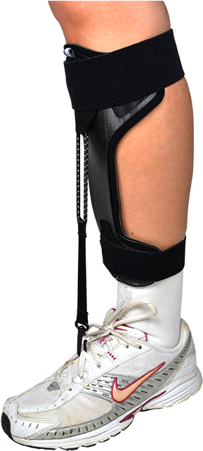 Medspec - Sneakers (520x693), Png Download