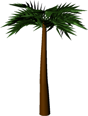 3d Palm Tree Png (640x480), Png Download